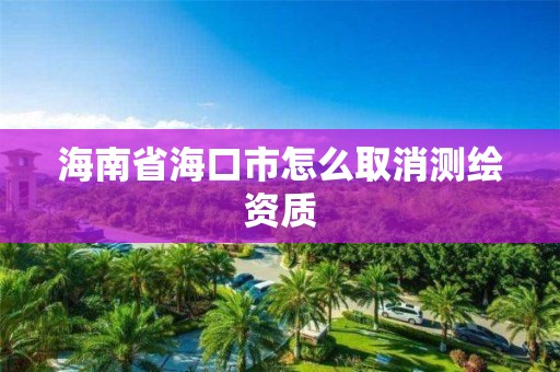 海南省海口市怎么取消測繪資質(zhì)