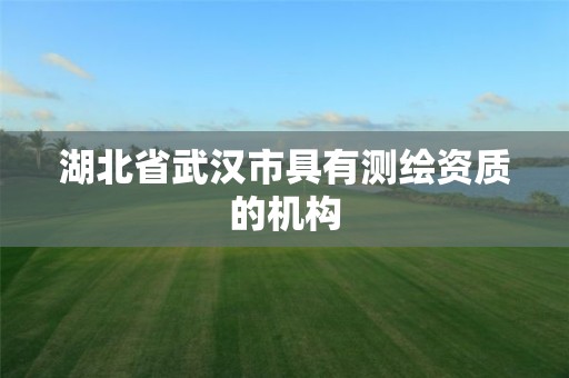 湖北省武漢市具有測繪資質(zhì)的機構