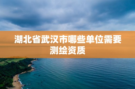 湖北省武漢市哪些單位需要測繪資質