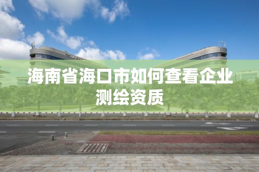 海南省海口市如何查看企業(yè)測(cè)繪資質(zhì)