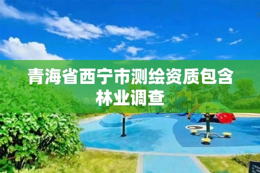 青海省西寧市測繪資質包含林業(yè)調查