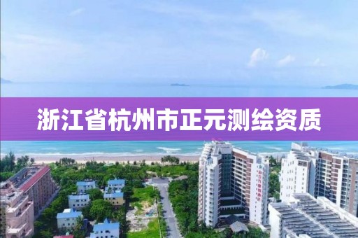 浙江省杭州市正元測繪資質