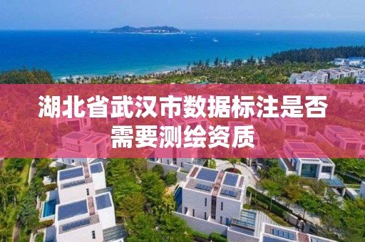 湖北省武漢市數據標注是否需要測繪資質