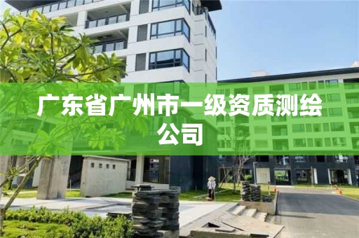 廣東省廣州市一級(jí)資質(zhì)測(cè)繪公司