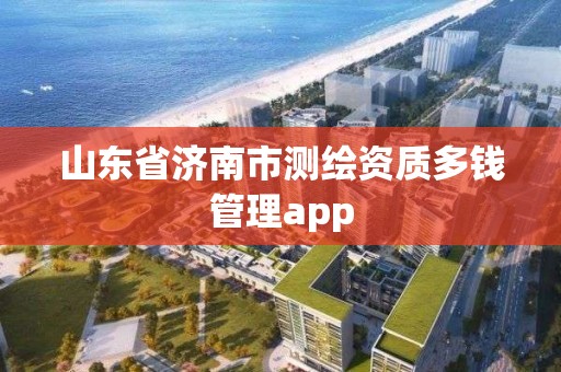 山東省濟南市測繪資質多錢管理app