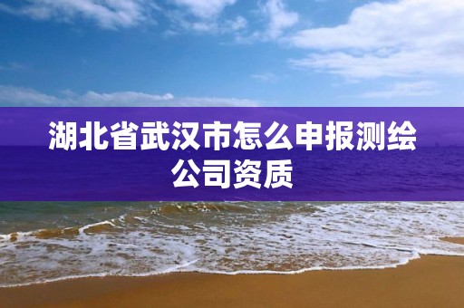 湖北省武漢市怎么申報測繪公司資質(zhì)