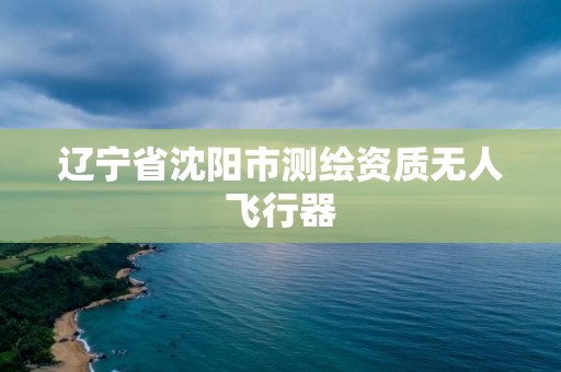 遼寧省沈陽市測繪資質無人飛行器