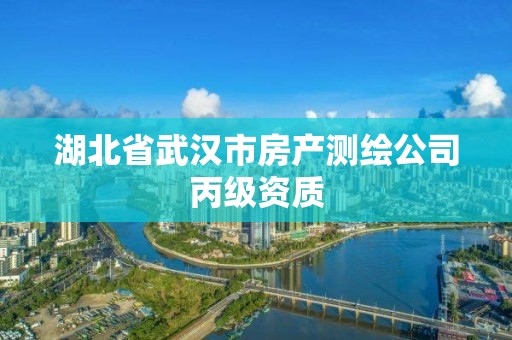 湖北省武漢市房產測繪公司丙級資質