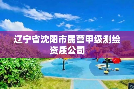 遼寧省沈陽(yáng)市民營(yíng)甲級(jí)測(cè)繪資質(zhì)公司