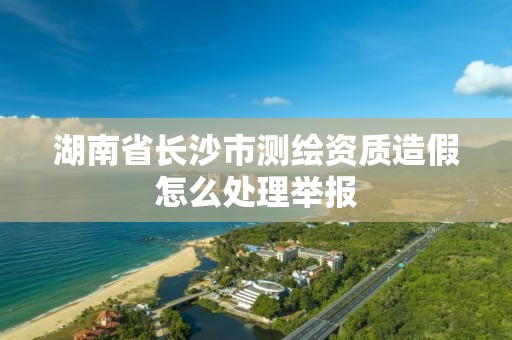 湖南省長沙市測繪資質造假怎么處理舉報