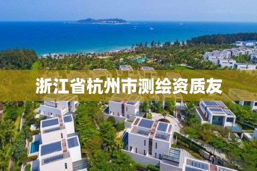 浙江省杭州市測繪資質(zhì)友