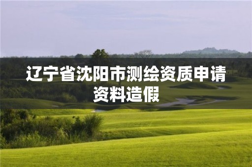 遼寧省沈陽(yáng)市測(cè)繪資質(zhì)申請(qǐng)資料造假