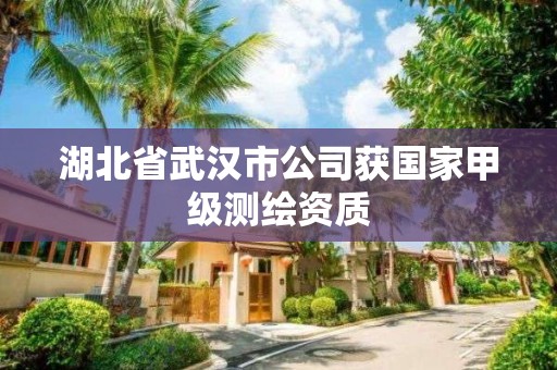 湖北省武漢市公司獲國家甲級測繪資質