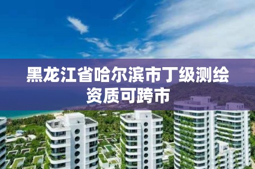 黑龍江省哈爾濱市丁級測繪資質(zhì)可跨市