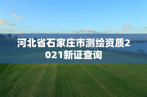 河北省石家莊市測繪資質2021新證查詢