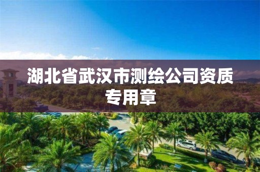 湖北省武漢市測繪公司資質專用章