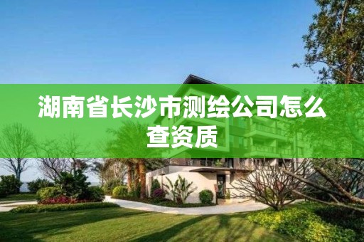 湖南省長沙市測繪公司怎么查資質