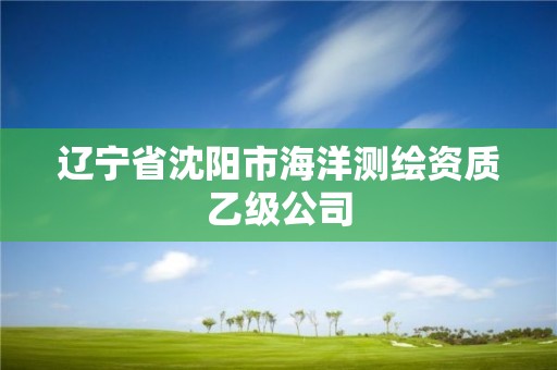 遼寧省沈陽市海洋測繪資質乙級公司