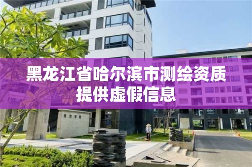 黑龍江省哈爾濱市測繪資質提供虛假信息