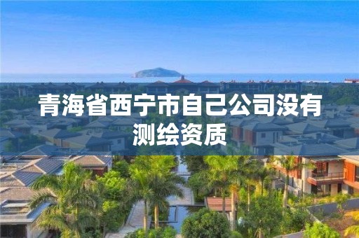 青海省西寧市自己公司沒有測繪資質