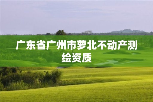 廣東省廣州市蘿北不動產測繪資質