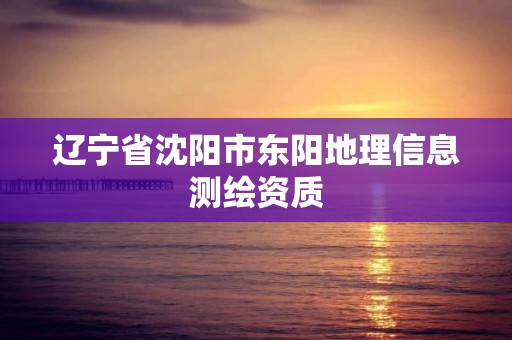 遼寧省沈陽市東陽地理信息測繪資質