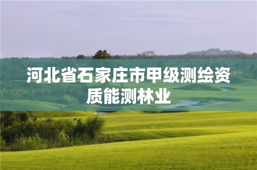 河北省石家莊市甲級(jí)測(cè)繪資質(zhì)能測(cè)林業(yè)