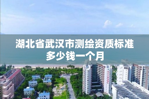 湖北省武漢市測(cè)繪資質(zhì)標(biāo)準(zhǔn)多少錢一個(gè)月