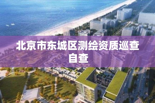 北京市東城區測繪資質巡查自查