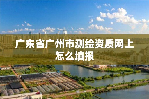 廣東省廣州市測繪資質網上怎么填報