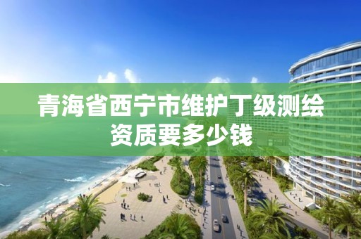 青海省西寧市維護(hù)丁級(jí)測(cè)繪資質(zhì)要多少錢