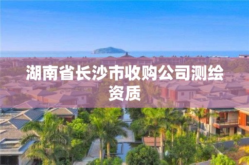 湖南省長沙市收購公司測繪資質