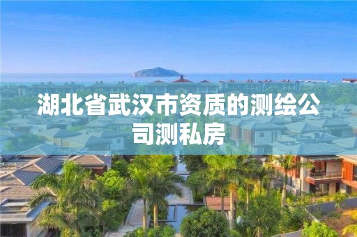 湖北省武漢市資質的測繪公司測私房