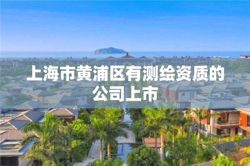 上海市黃浦區有測繪資質的公司上市