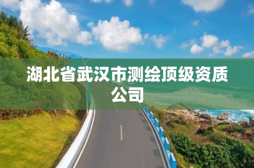 湖北省武漢市測繪頂級資質公司