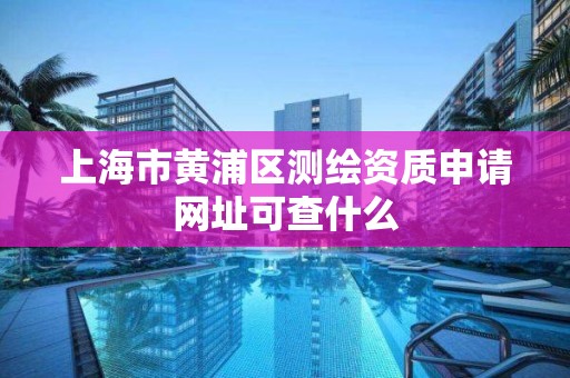 上海市黃浦區測繪資質申請網址可查什么