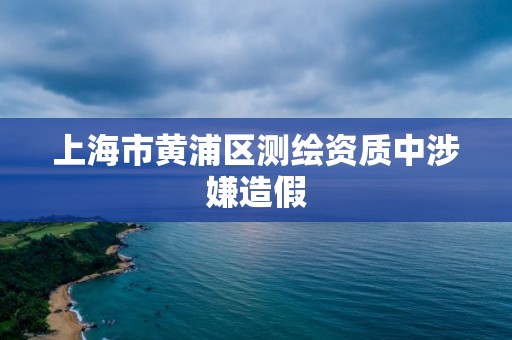 上海市黃浦區測繪資質中涉嫌造假