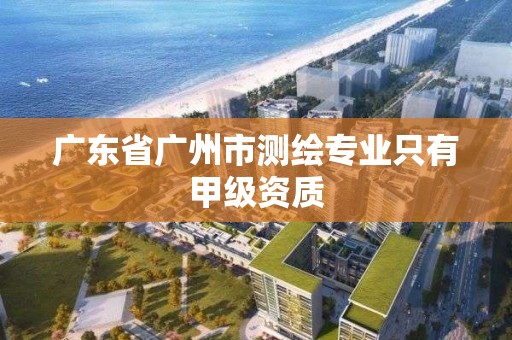 廣東省廣州市測繪專業(yè)只有甲級資質