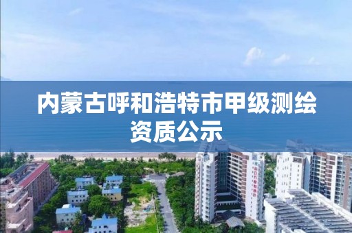 內蒙古呼和浩特市甲級測繪資質公示