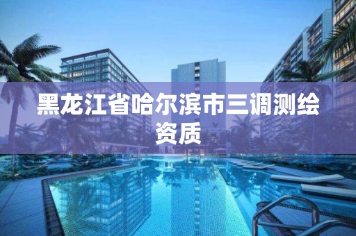 黑龍江省哈爾濱市三調測繪資質