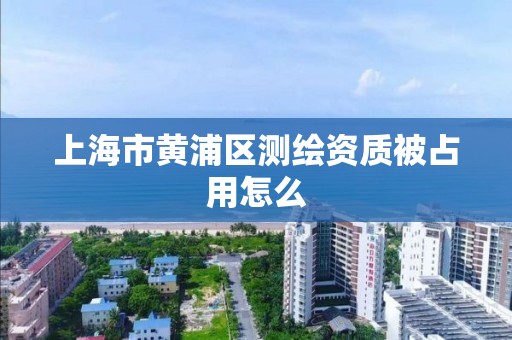 上海市黃浦區測繪資質被占用怎么