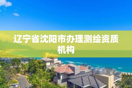 遼寧省沈陽市辦理測繪資質機構