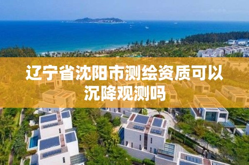 遼寧省沈陽市測繪資質可以沉降觀測嗎