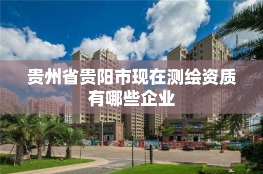 貴州省貴陽市現在測繪資質有哪些企業