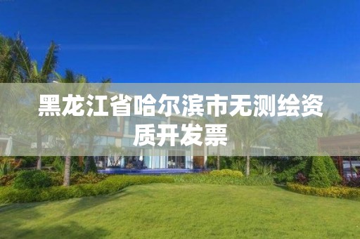 黑龍江省哈爾濱市無測繪資質開發票