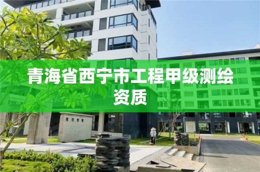 青海省西寧市工程甲級測繪資質