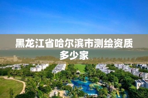 黑龍江省哈爾濱市測繪資質多少家