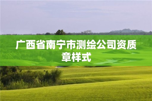 廣西省南寧市測繪公司資質章樣式