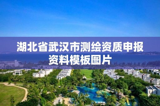 湖北省武漢市測繪資質申報資料模板圖片