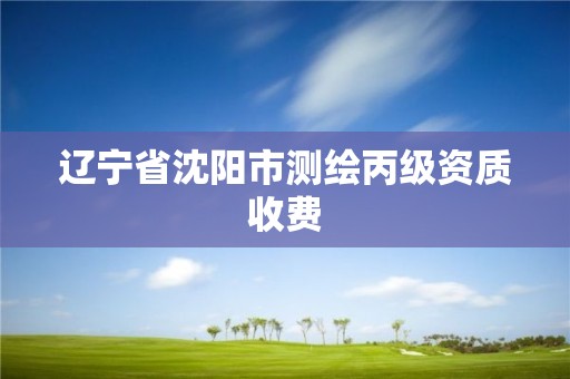 遼寧省沈陽市測繪丙級資質收費